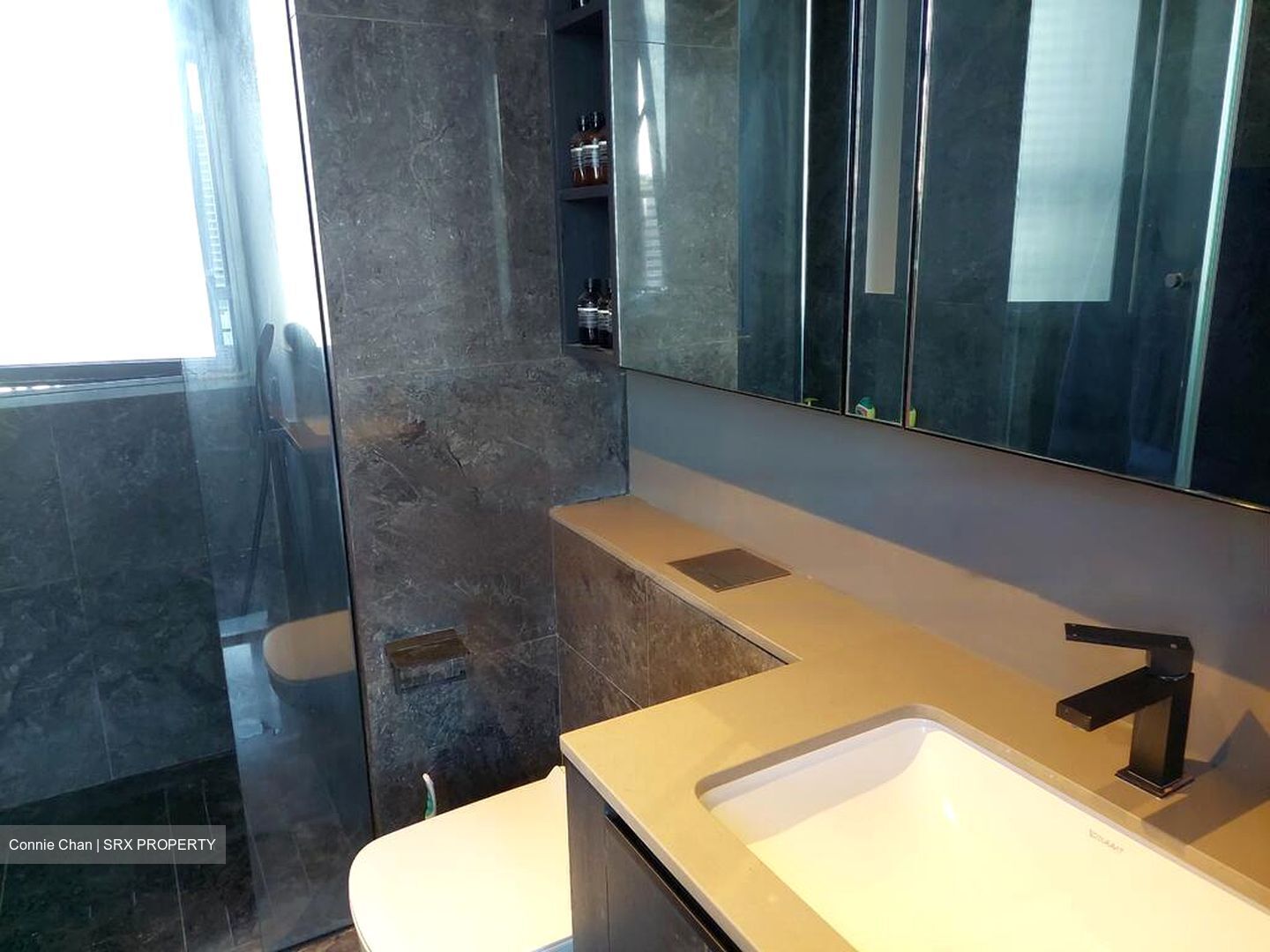 3 Cuscaden (D10), Apartment #469700601